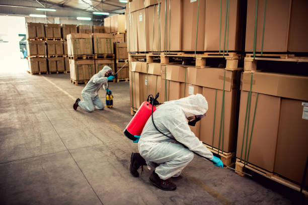 Best Ant Control Services  in Eunice, LA