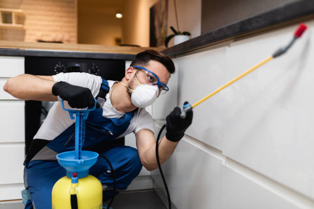 Best Best Pest Control Companies  in Eunice, LA