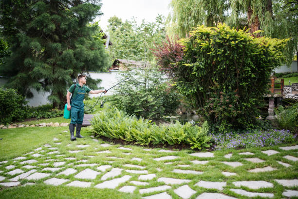 Wasp Removal Services in Eunice, LA