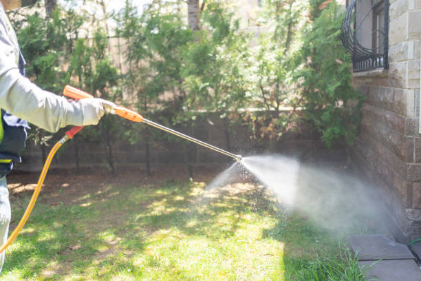 Best Cockroach Control Services  in Eunice, LA