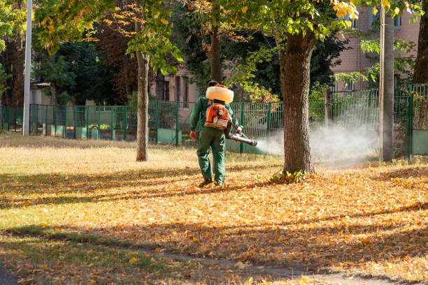 Flea Control Services in Eunice, LA