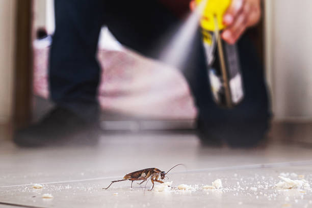 Best Exterminator Services  in Eunice, LA