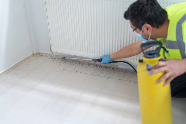 Best Emergency Pest Control  in Eunice, LA